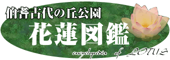 伯耆古代の丘「花蓮図鑑」