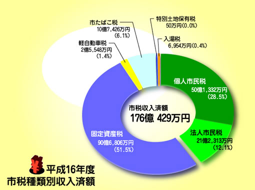 グラフ：平成16年度の市税種類別収入済額