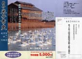 第十一巻チラシおもて