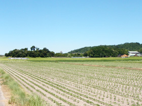 瓶山丘陵と向山丘陵