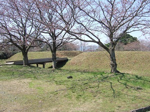 戦いの舞台となった尾高城跡