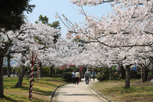 桜まつり