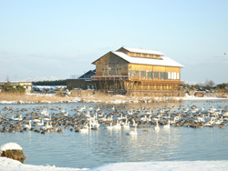 水鳥公園の写真