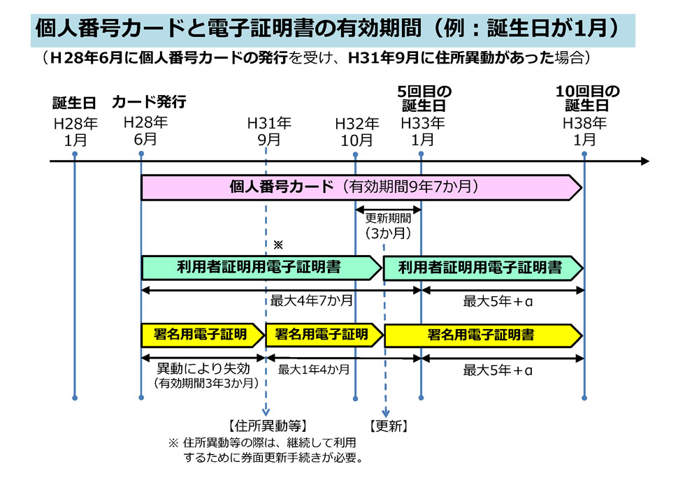 有効期間の例