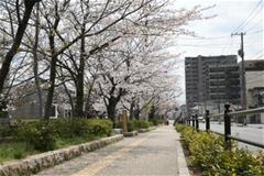 米子城下町、旧加茂川沿いの歩道