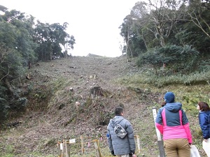 樹木伐採後の米子城跡の斜面