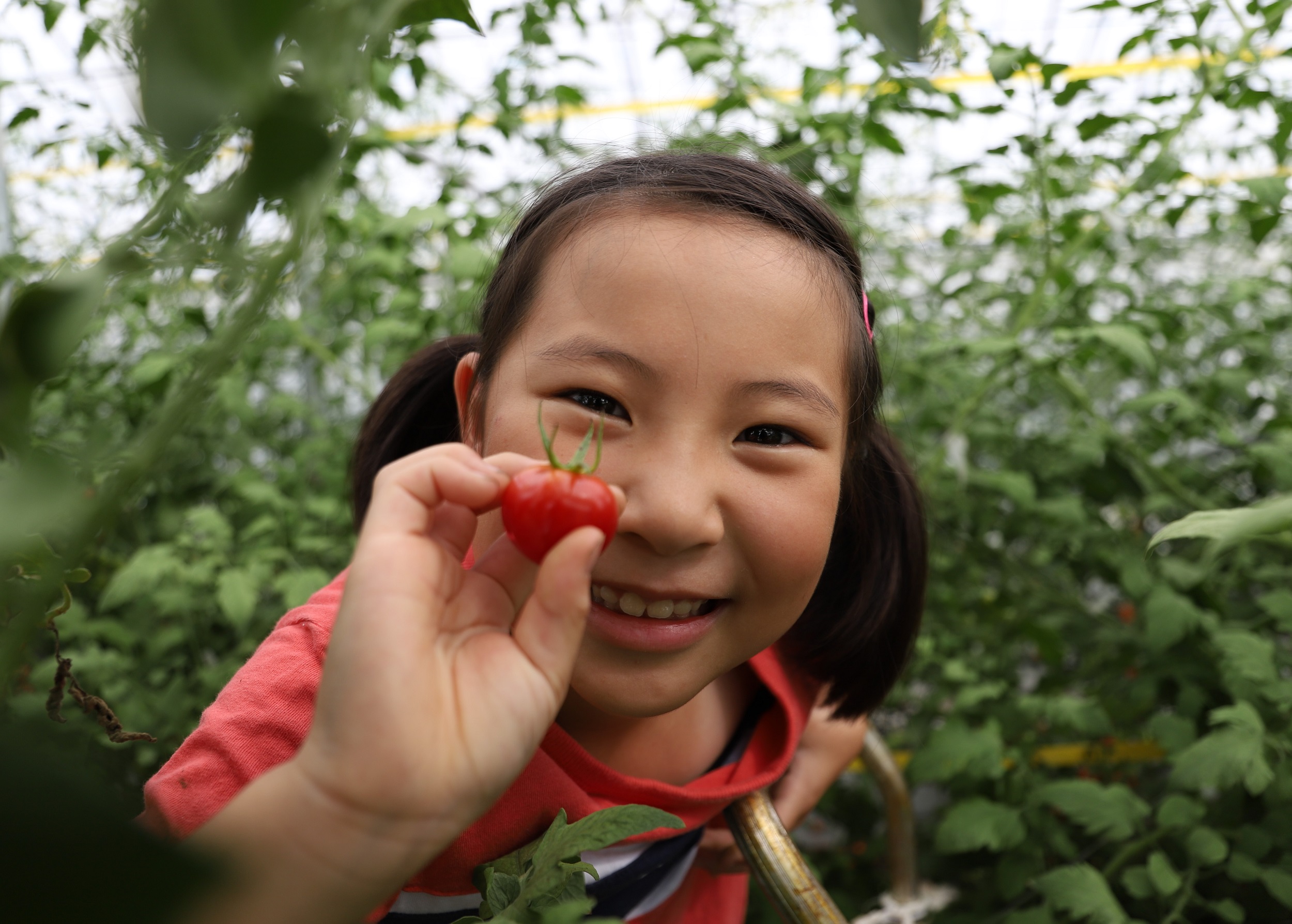 お子さんがミニトマトを持って微笑む写真