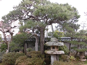 後藤家の庭園