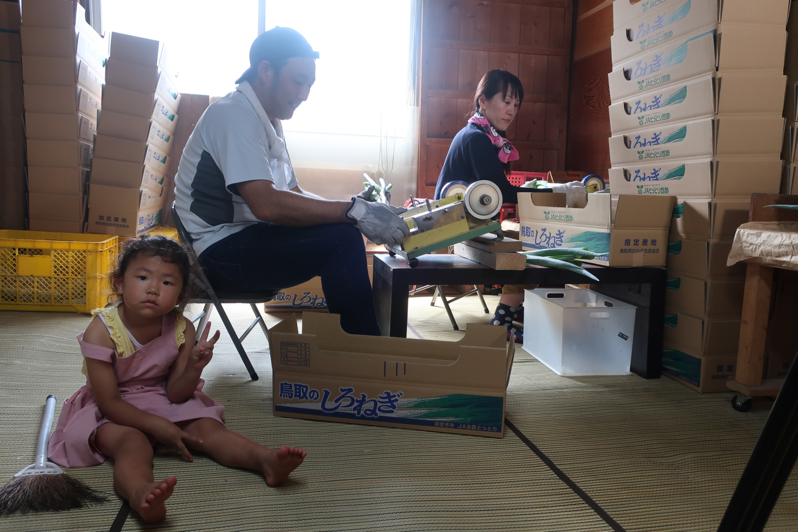 ネギ詰めの作業場での撮影