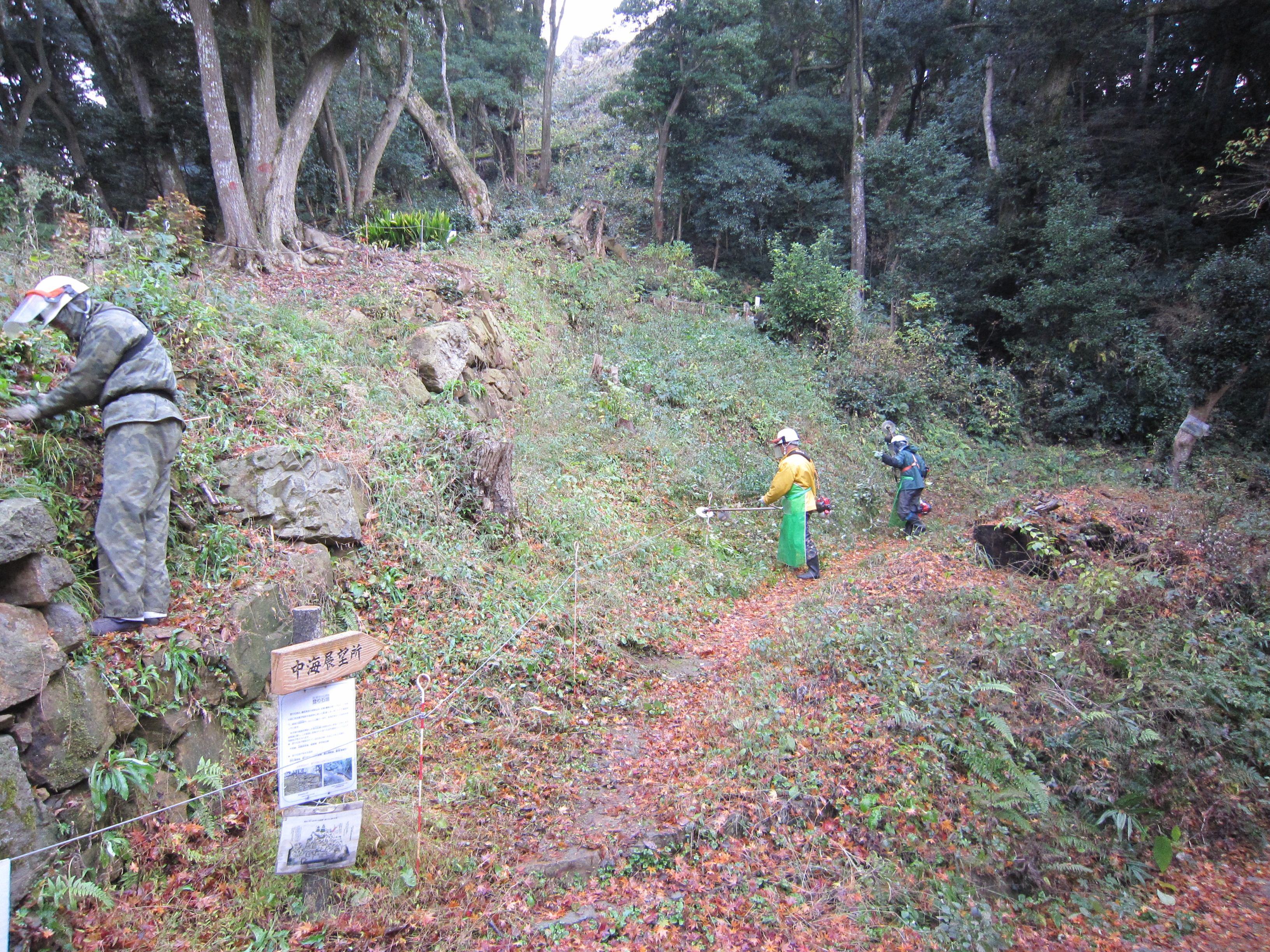 作業中風景