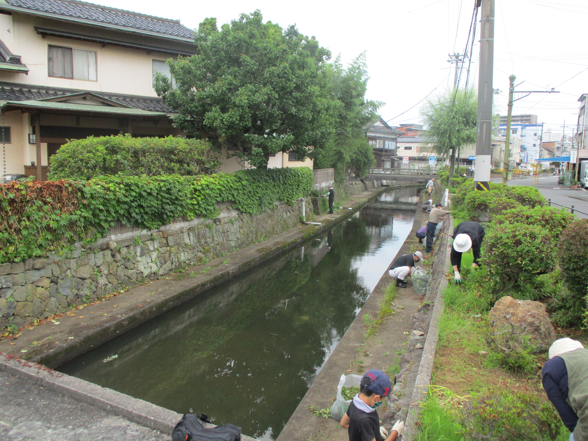 加茂川一斉清掃