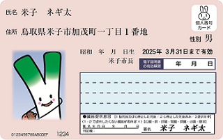 マイナンバーカード見本（表）