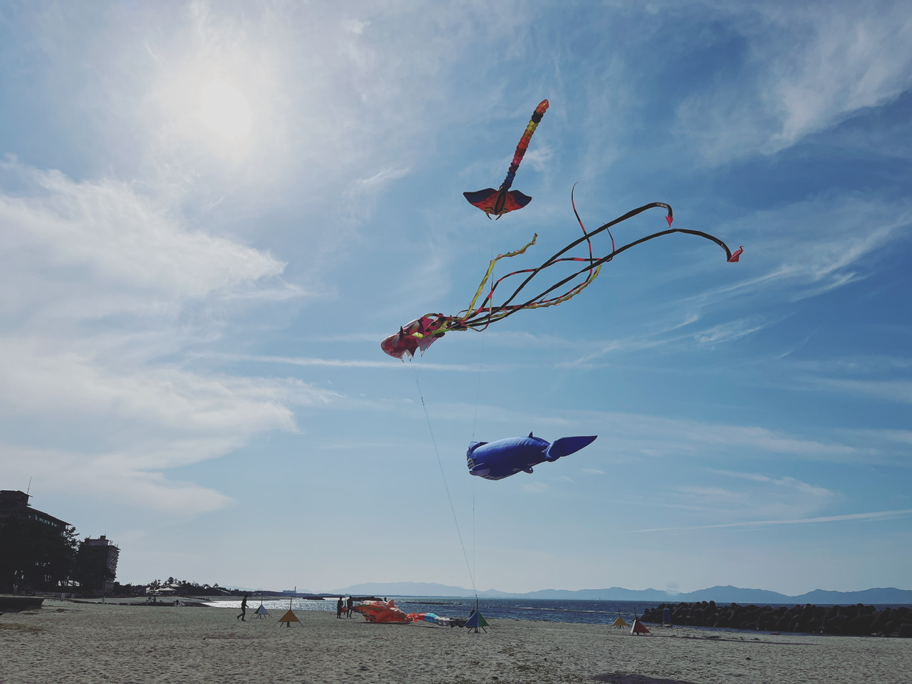 皆生温泉海遊ビーチの写真