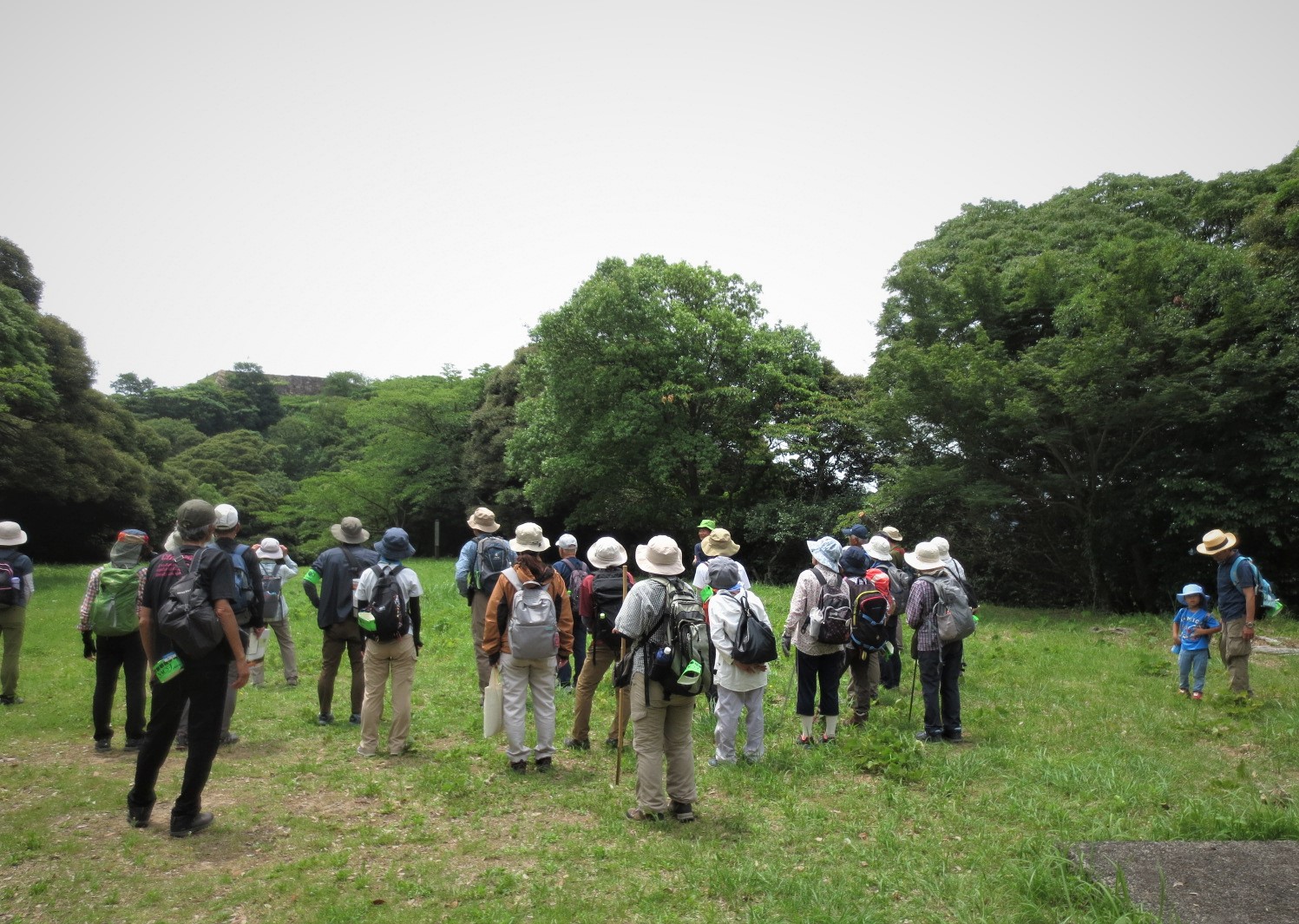 7.内膳丸で広葉樹林の説明