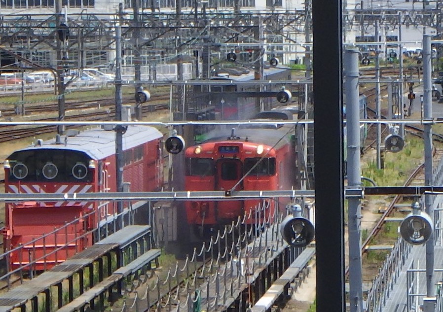 がいなロード駅南側からの景色