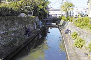 清掃活動では、川辺の除草やごみ拾いをする