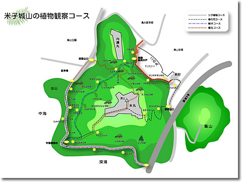 植物観察コースマップ