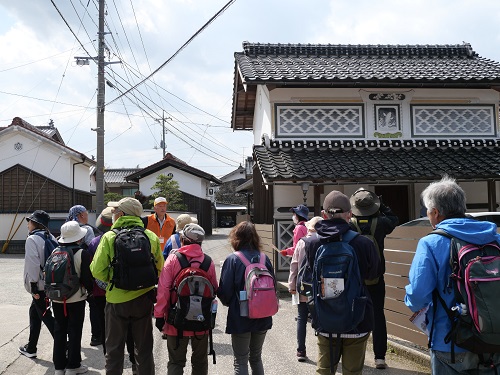 mitunokotee