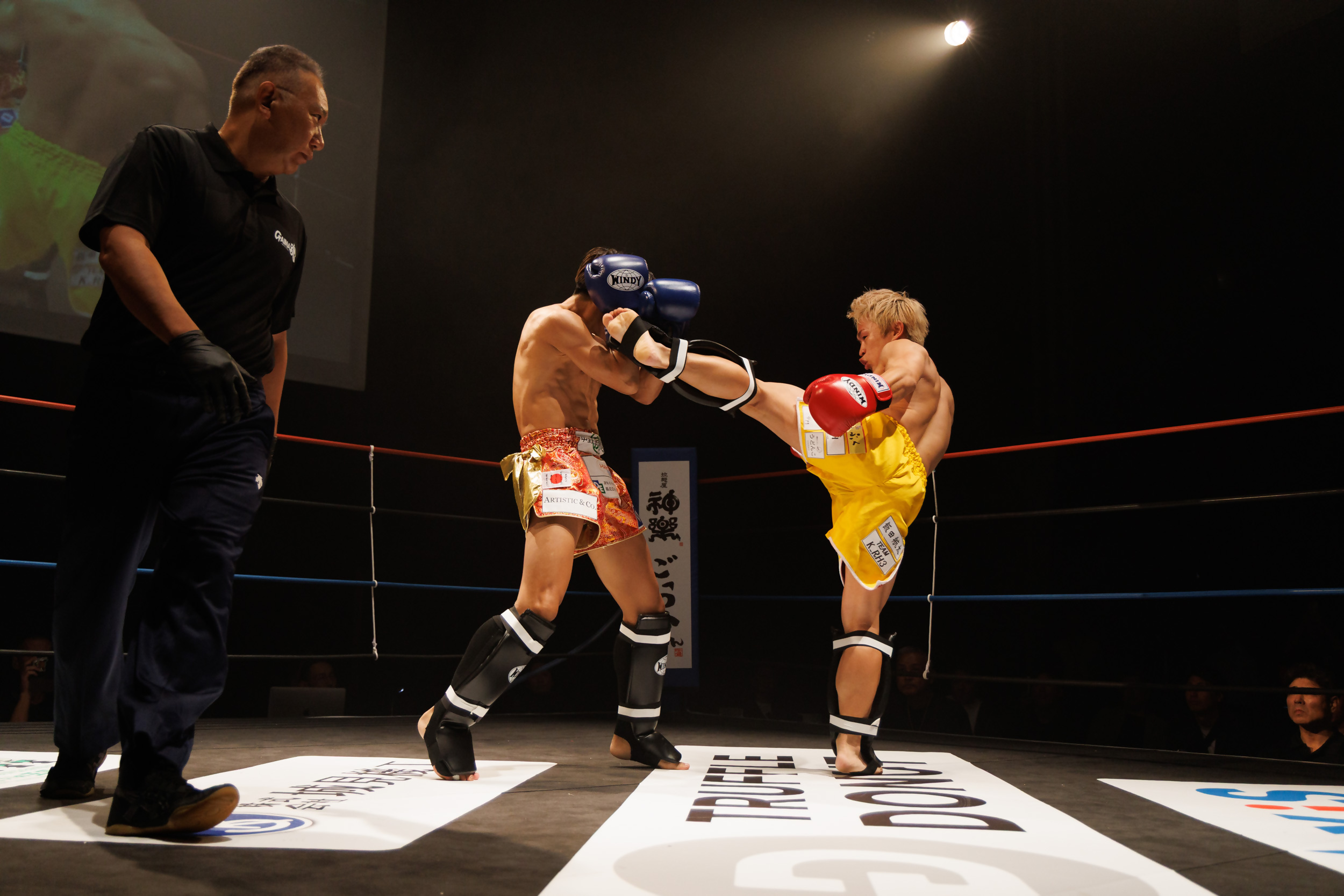 エキシビジョンマッチ2