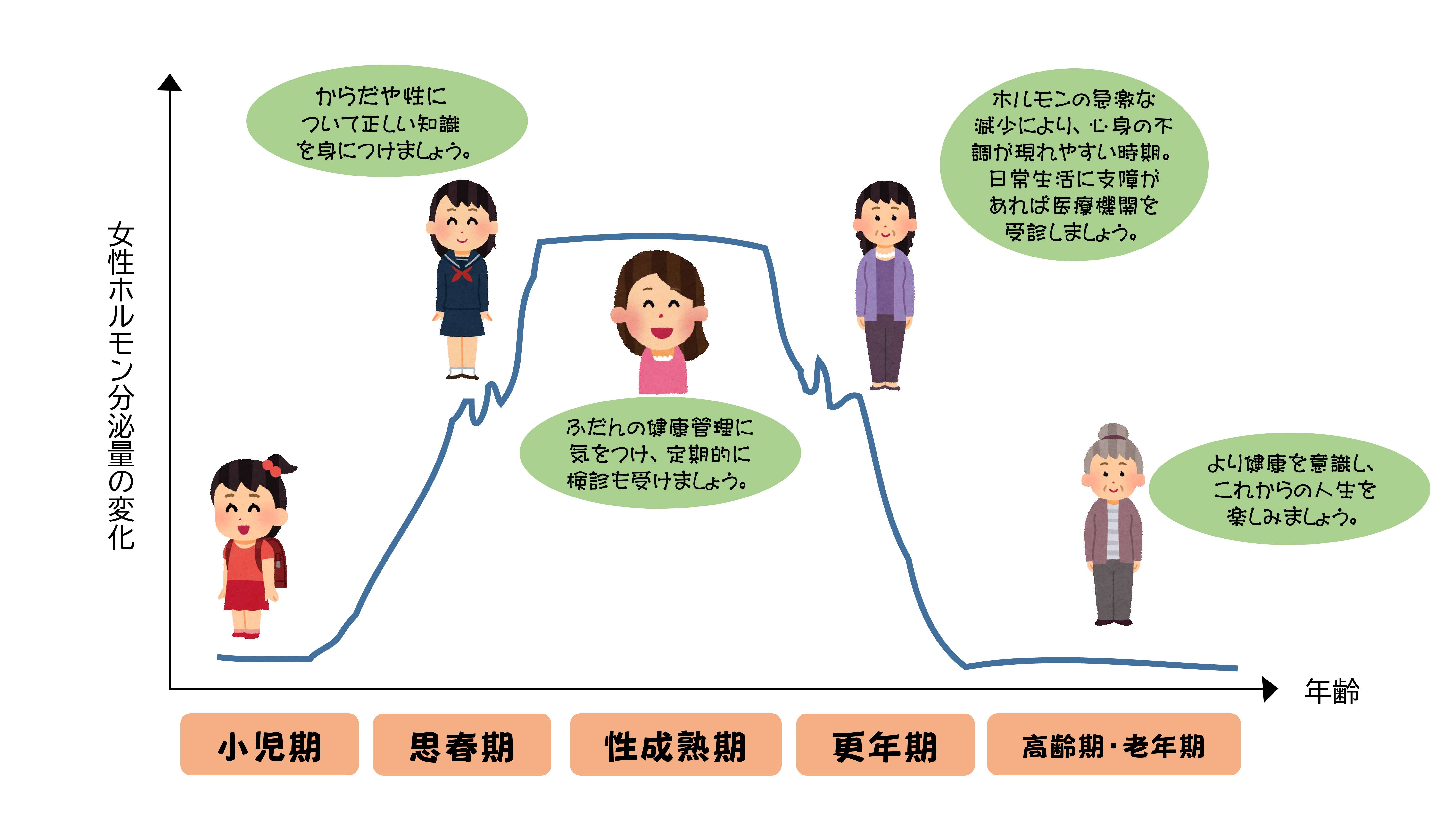 女性ホルモンの変化