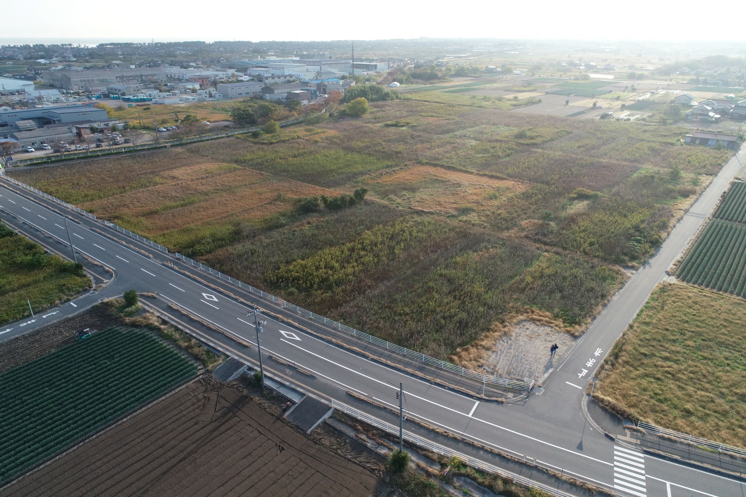 令和7年11月14日撮影