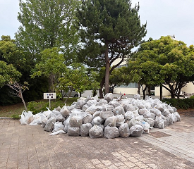 ごみ集積場