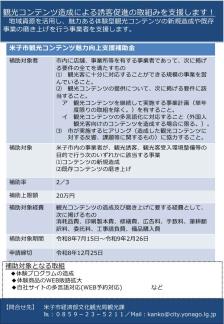 チラシ（コンテンツ補助金）