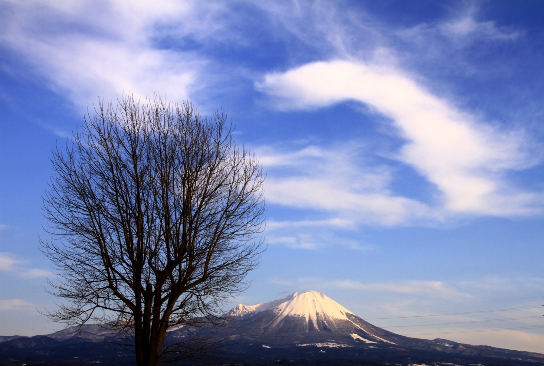 米子市からの大山