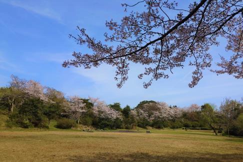 福市遺跡公園