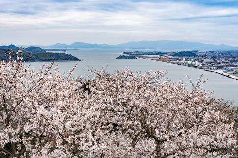 桜と中海