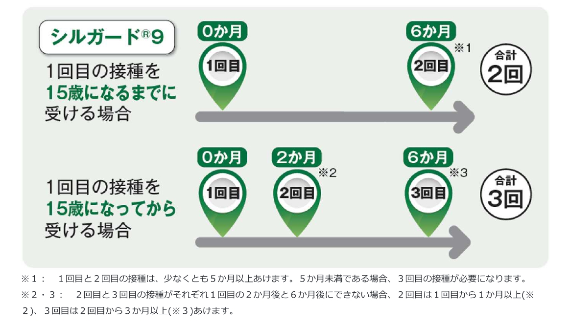 シルガード9　接種間隔画像